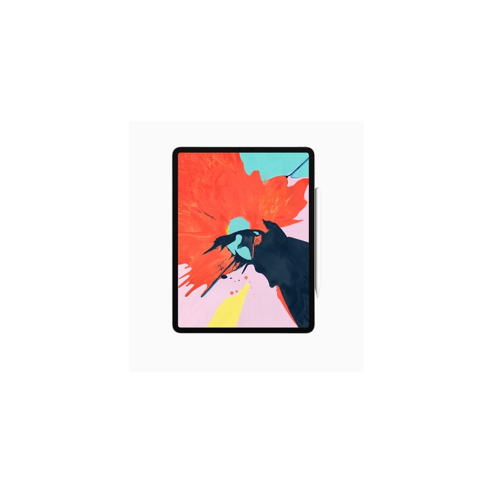 APPLE USATO PREMIUM iPad Pro 12 9" (2018 - 3th gen) Wi-Fi - 64GB Argento - USATO GRADO A In Linea