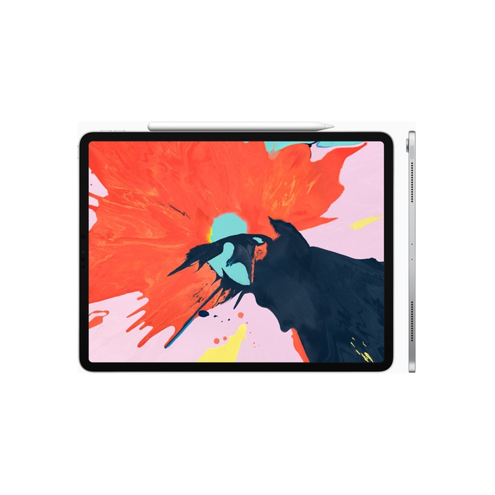 APPLE USATO PREMIUM iPad Pro 12 9" (2018 - 3th gen) Wi-Fi - 64GB Argento - USATO GRADO A In Linea