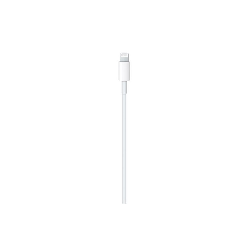 APPLE Cavo Apple Lightning a USB-C Negozio