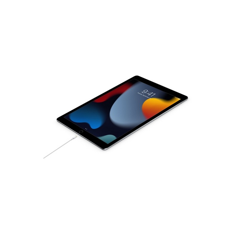 APPLE CAVO APPLE LIGHTNING USB-C Shopping Online