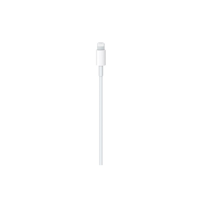 APPLE CAVO APPLE LIGHTNING USB-C Shopping Online