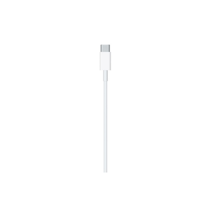 APPLE CAVO APPLE LIGHTNING USB-C Shopping Online