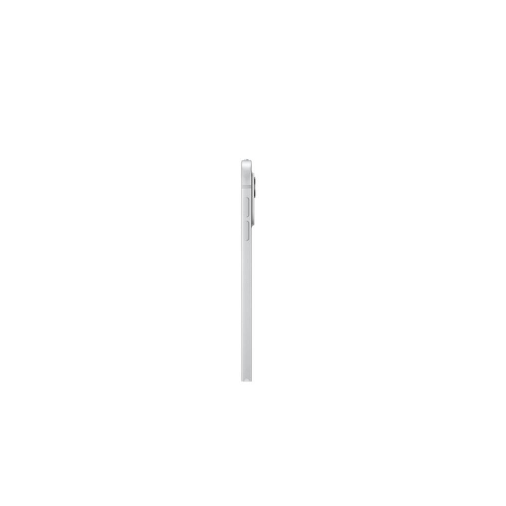 APPLE iPad Pro 11" WI-FI + Cellular 1TB Vetro Nanotexture Sconti VIP