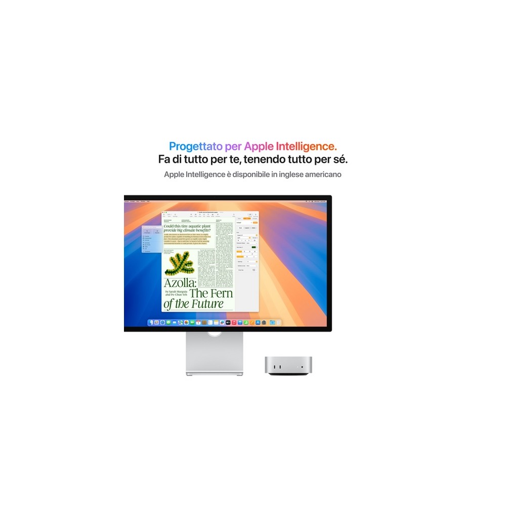 APPLE Mac mini - 512 GB Pezzi Unici