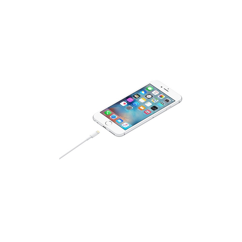 APPLE CAVO APPLE DA LIGHTNING A USB Offerta