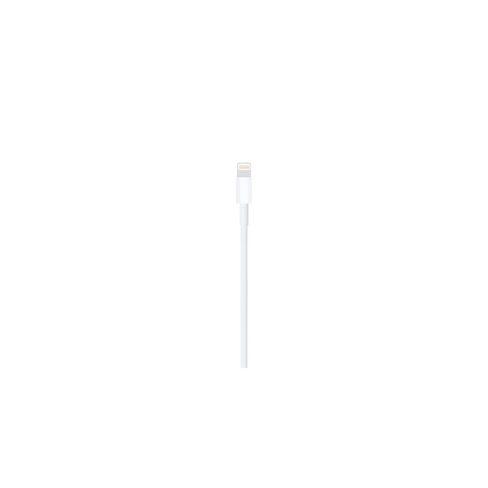 APPLE CAVO APPLE DA LIGHTNING A USB Offerta