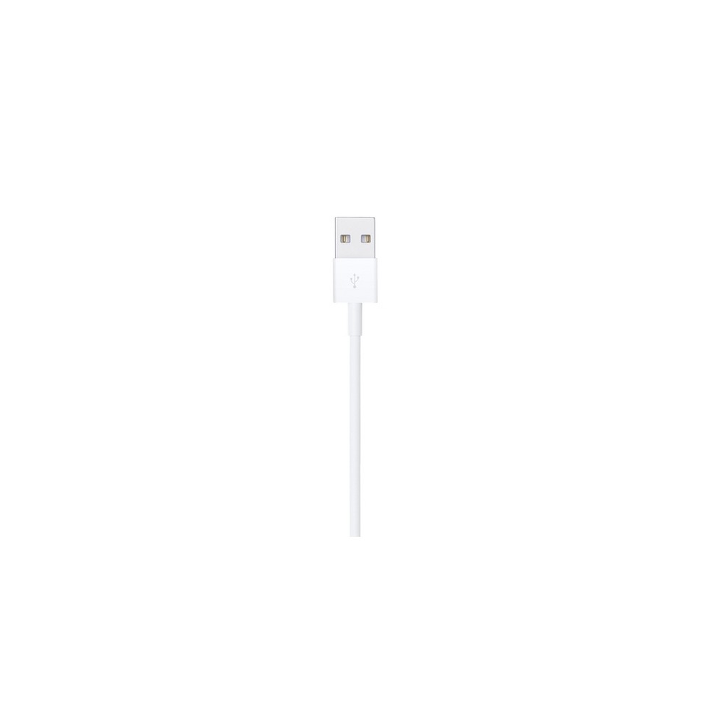 APPLE CAVO APPLE DA LIGHTNING A USB Offerta